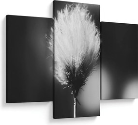 Obraz - Čiernobiely cottongrass (90x60 cm)