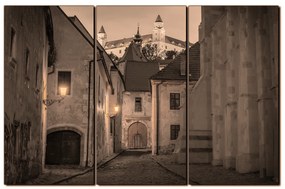 Obraz na plátne - Bratislava staré mesto s hradom vzadu 1265FB (90x60 cm  )