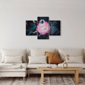 Obraz ružovej kvetiny (90x60 cm)