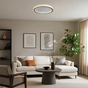 Rabalux 71281-LED stmievateľné stropné svietidlo ZOFRAEL 24W/230V 3000-6500K pr.40cm+DO