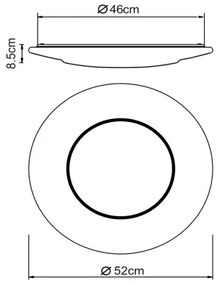 Globo 48311-24 - LED Stropné svietidlo CANDIDA LED/24W/230V
