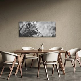 Obraz - Mačka (120x50 cm)