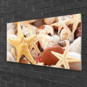 Skleneny obraz Hviezdice mušle pláž 120x60 cm