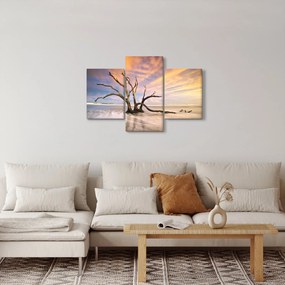 Obraz stromu v oceáne (90x60 cm)