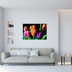 Obraz tulipánov na čiernom pozadí (90x60 cm)