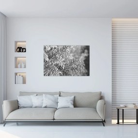 Obraz - Smrekový les (90x60 cm)
