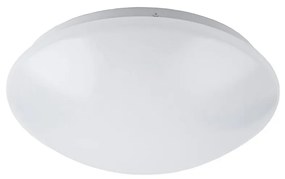 Rabalux Rabalux 3439 - LED kúpeľňové stropné svietidlo LUCAS LED/24W/230V RL3439
