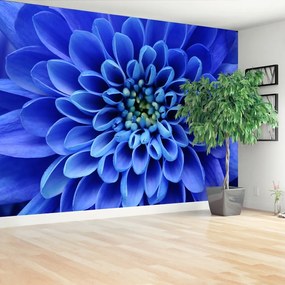 Fototapeta Vliesová Modrý kvet 208x146 cm