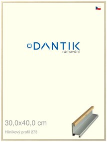 DANTIK rám na obraz 30x40 | ALU Dýha javor (Plexi Čiré)