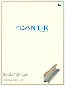 DANTIK rám na obraz 30x40 | ALU Dýha javor (Plexi Čiré)