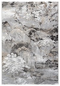 Koberec Argentum 1,2/1,7 63910-9293-0-4