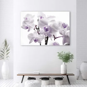 Gario Obraz na plátne Biela a fialová orchidea Rozmery: 90 x 60 cm
