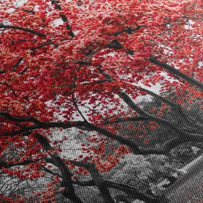 Obraz - Červené stromy, Central Park, New York (90x60 cm)