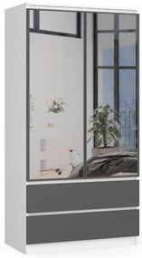 Skriňa S 90 cm 2D 2SZ 2 zrkadlá CLP biela / sivá