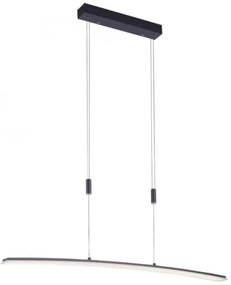 Paul Neuhaus 2530-13 - LED Stmievateľný luster na lanku JANINA LED/27W/230V