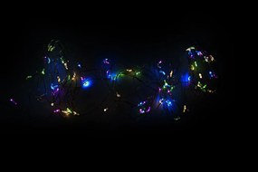 NEXOS LED osvetlenie strieborný drôt, 60 LED, farebný