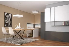 Immax NEO 07032L - LED Stmievateľné stropné svietidlo TOPAJA LED/47W/230V + DO