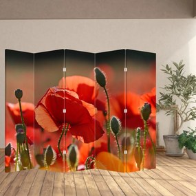 Paraván - Vlčie maky (210x170 cm)