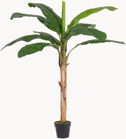 Exteriérová umelá rastlina Banana, V 180 cm