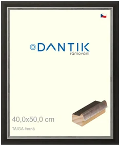 DANTIK rám na obraz 40x50 | TAIGA černá (Plexi Čiré)