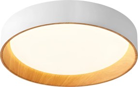 Toolight Toolight, LED stropné svietidlo 40cm, 24W, 4000K, 4000lm, G115-C, biela, OSW-06381