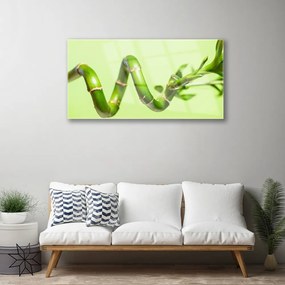 Obraz plexi Bambus rastlina príroda 100x50 cm