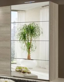 Posuvné dvere ku korpusu skrine šírky 225 cm Easy Plus, zrkadlo%