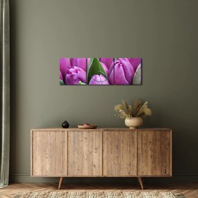 Obraz - kvety tulipánov (s hodinami) (90x30 cm)