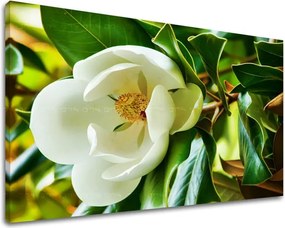 Obraz na stenu KVETY KV003E11 - 60x90 cm