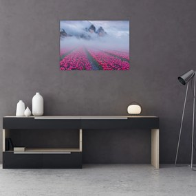 Obraz - Krajina s tulipánovými poľami (70x50 cm)