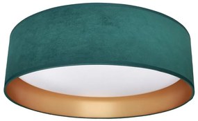 LED Stropné svietidlo RONDO LED/18W/230V zelená