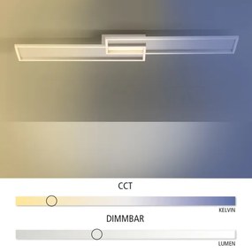 Paul Neuhaus 8371-55 - LED Stmievateľné stropné svietidlo AMARA LED/40W/230V + DO