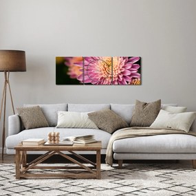 Detailný obraz kvetu (s hodinami) (90x30 cm)