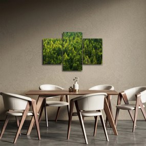 Obraz - Hustý les (90x60 cm)