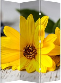 Paraván - Žltá kvetina (126x170 cm)