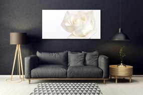 Obraz plexi Ruže kvety 120x60 cm
