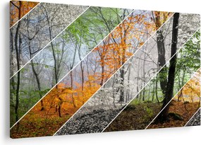 Obraz - Striedanie ročných období (90x60 cm)