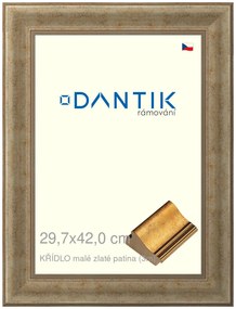 DANTIK rám na obraz 29,7x42 | KŘÍDLO malé zlaté patina (Plexi Čiré)