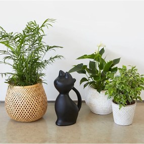 Plastová kanvička na zalievanie 2 l Meow – Balvi