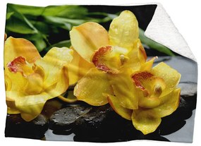 Deka Žlté kvety  (Rozmer: 200 x 140 cm, Podšitie baránkom: ÁNO)