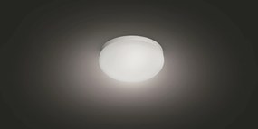 PHILIPS HUE Prisadené stropné LED inteligentné osvetlenie HUE FLOURISH s funkciou RGB, 32W, teplá biela-studená