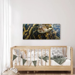 Obraz - Pytón (120x50 cm)