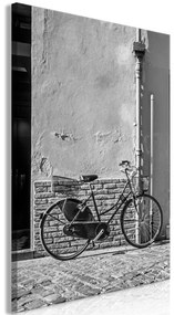 Artgeist Obraz - Old Italian Bicycle (1 Part) Vertical Veľkosť: 20x30, Verzia: Na talianskom plátne