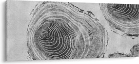 Obraz - Motív stromu (120x50 cm)