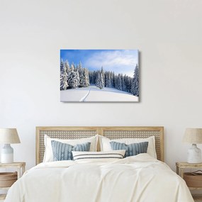 Obraz - Zima v lesoch (90x60 cm)
