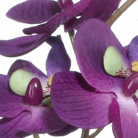 Gasper Orchidea 31,5 cm fialová, bez kvetináča