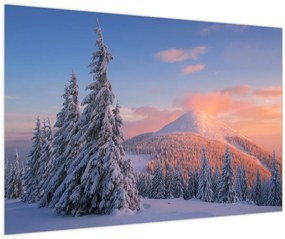 Obraz - Zimná krajina (90x60 cm)