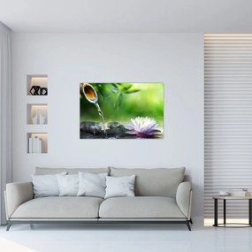 Obraz - Lotus (90x60 cm)