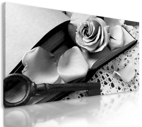 Obraz ruža a tajný kľúč v čiernobielom prevedení