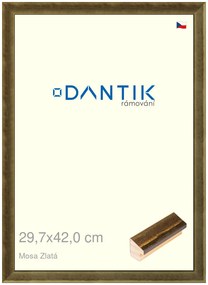 DANTIK rám na obraz 29,7x42 | Mosa zlatá (Plexi Čiré)